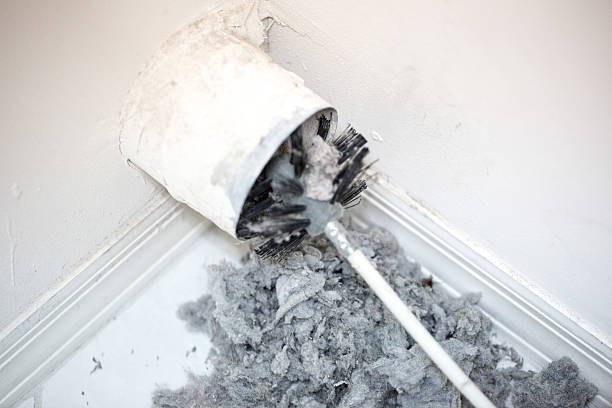 Best Air Duct Sanitizing Services  in Massillon, OH